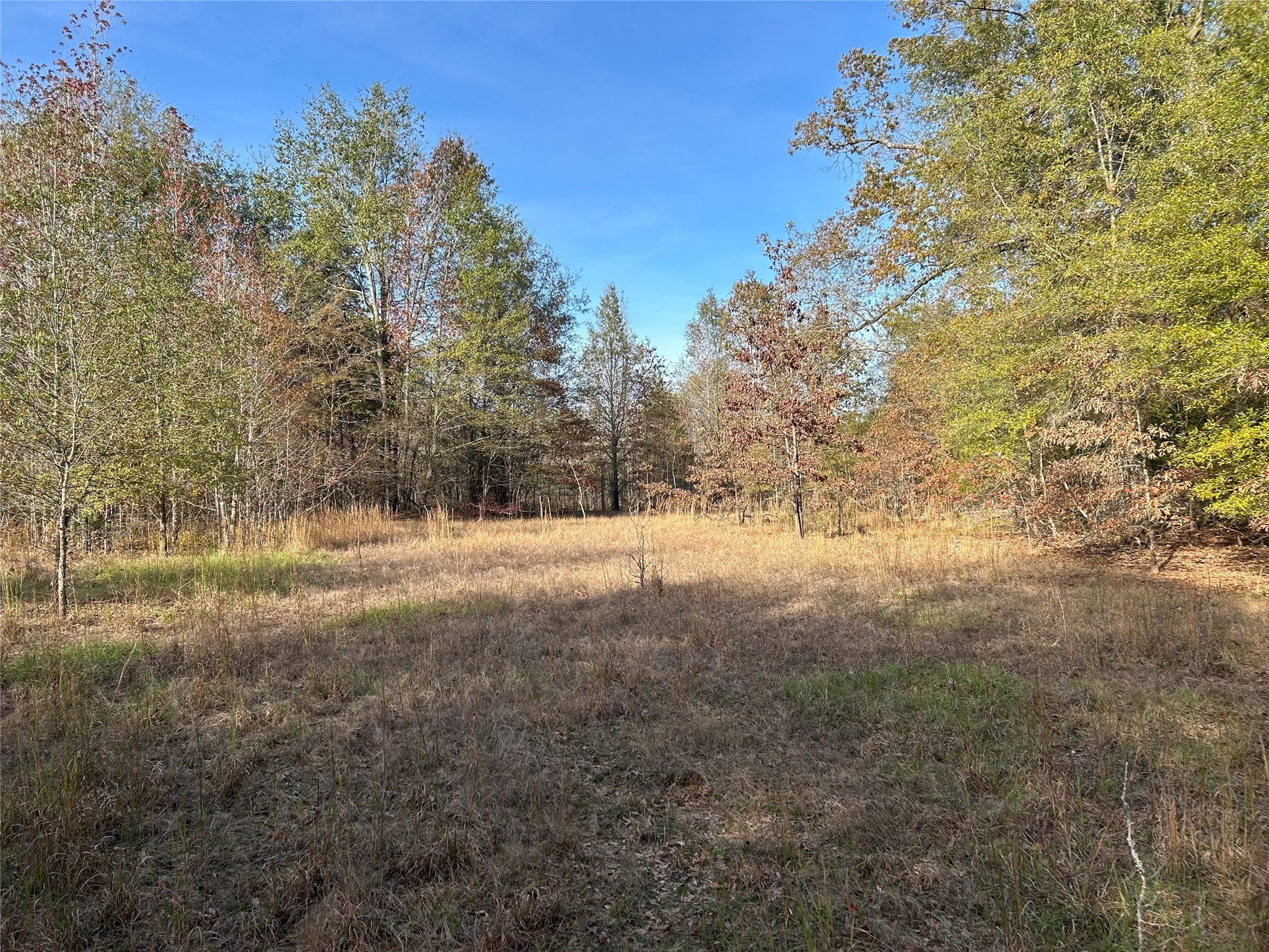 Tbd County Road 1412 Bogata TX 75416
