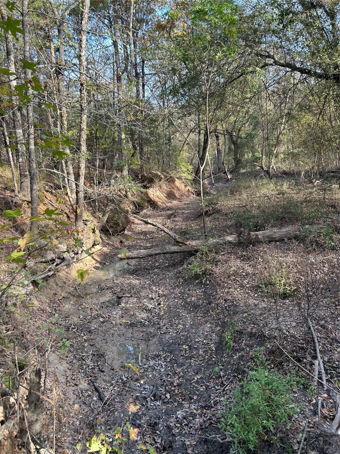 Tbd County Road 1412 Bogata TX 75416