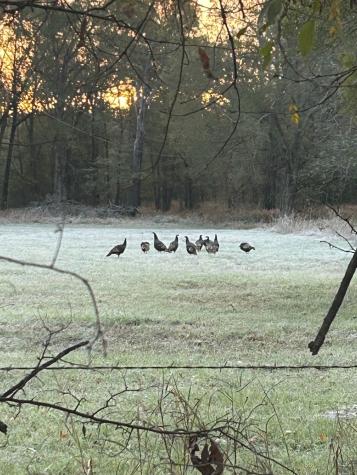 Tbd County Road 1412 Bogata TX 75416