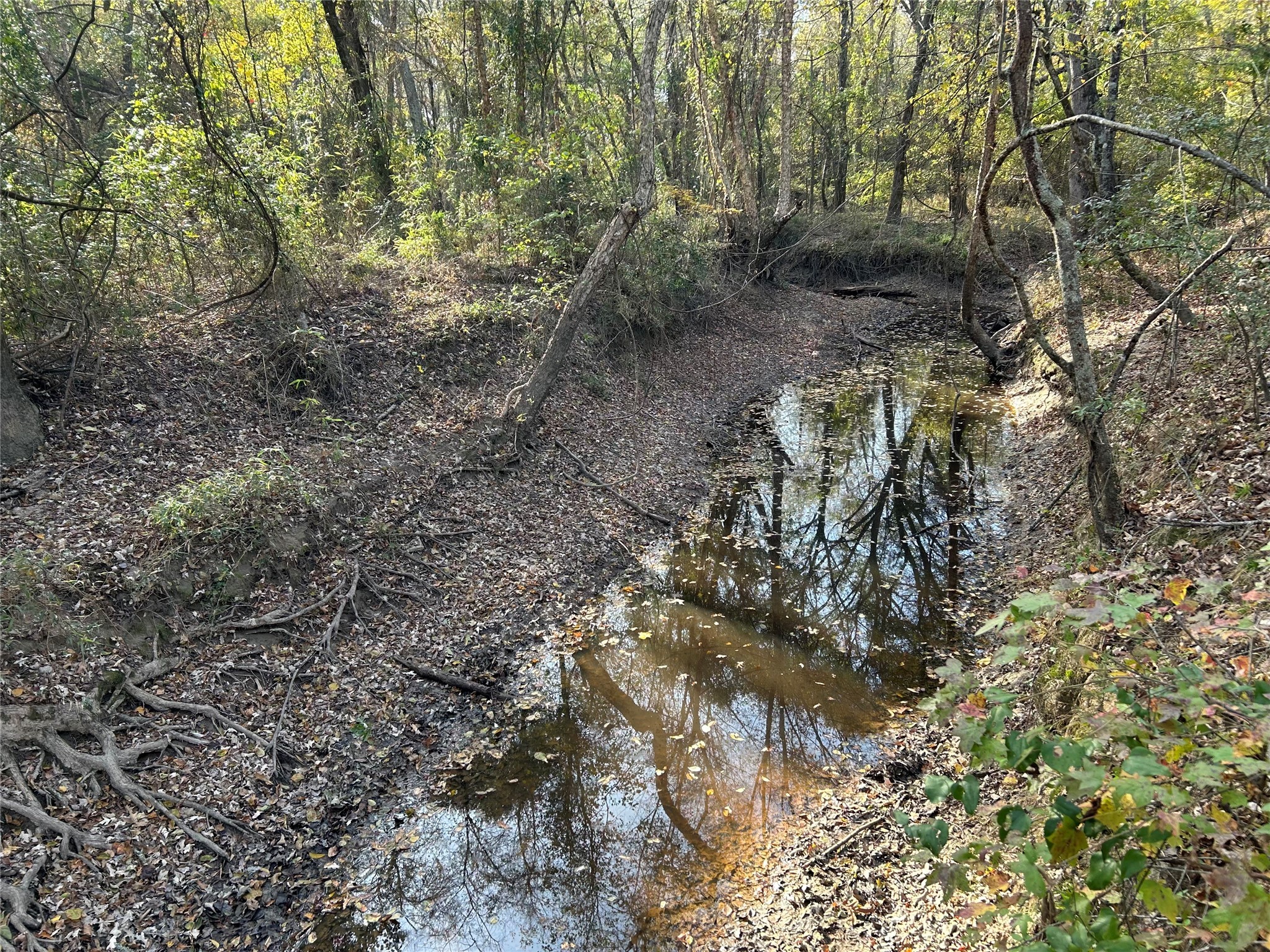 Tbd County Road 1412 Bogata TX 75416