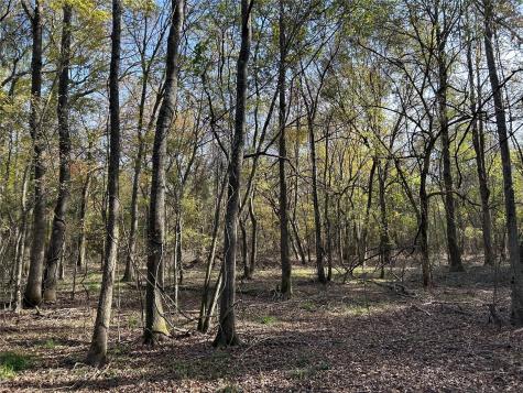 Tbd County Road 1412 Bogata TX 75416