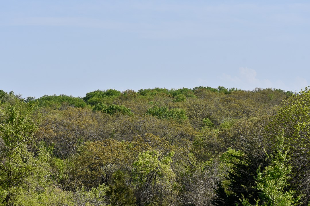 Tbd Fm 51 Decatur TX 76234