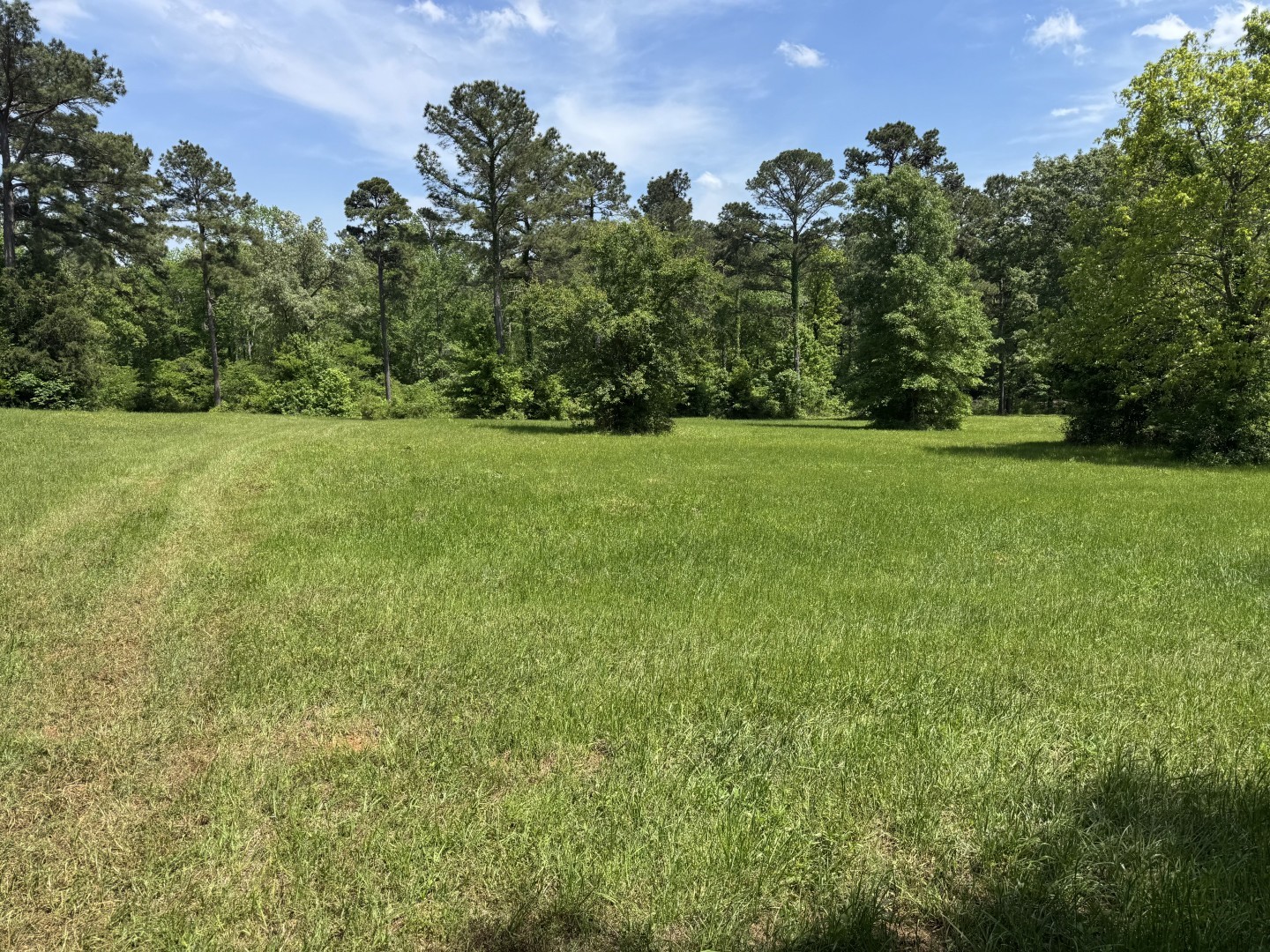 16649 County Road 4252d Henderson TX 75654