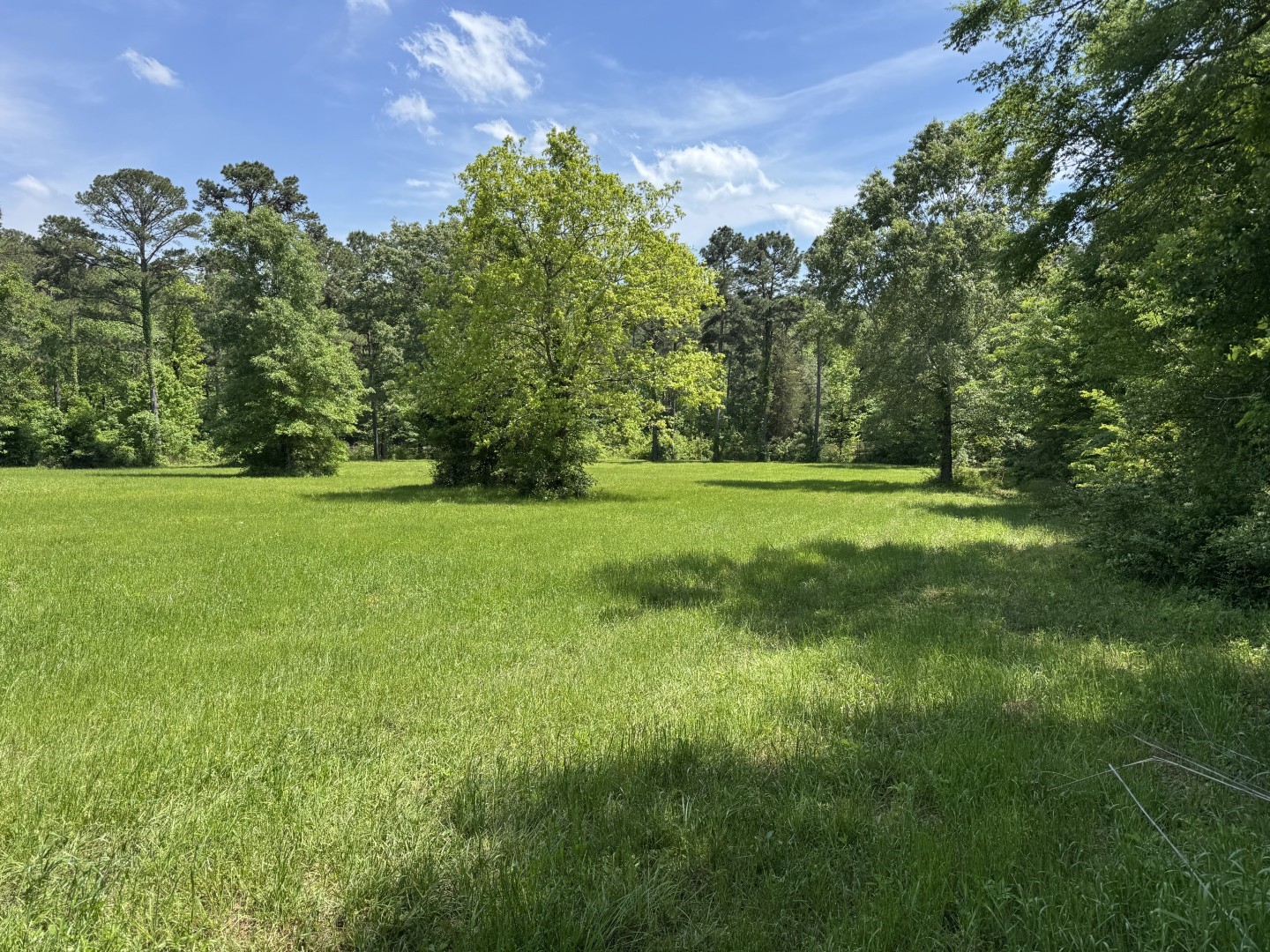 16649 County Road 4252d Henderson TX 75654