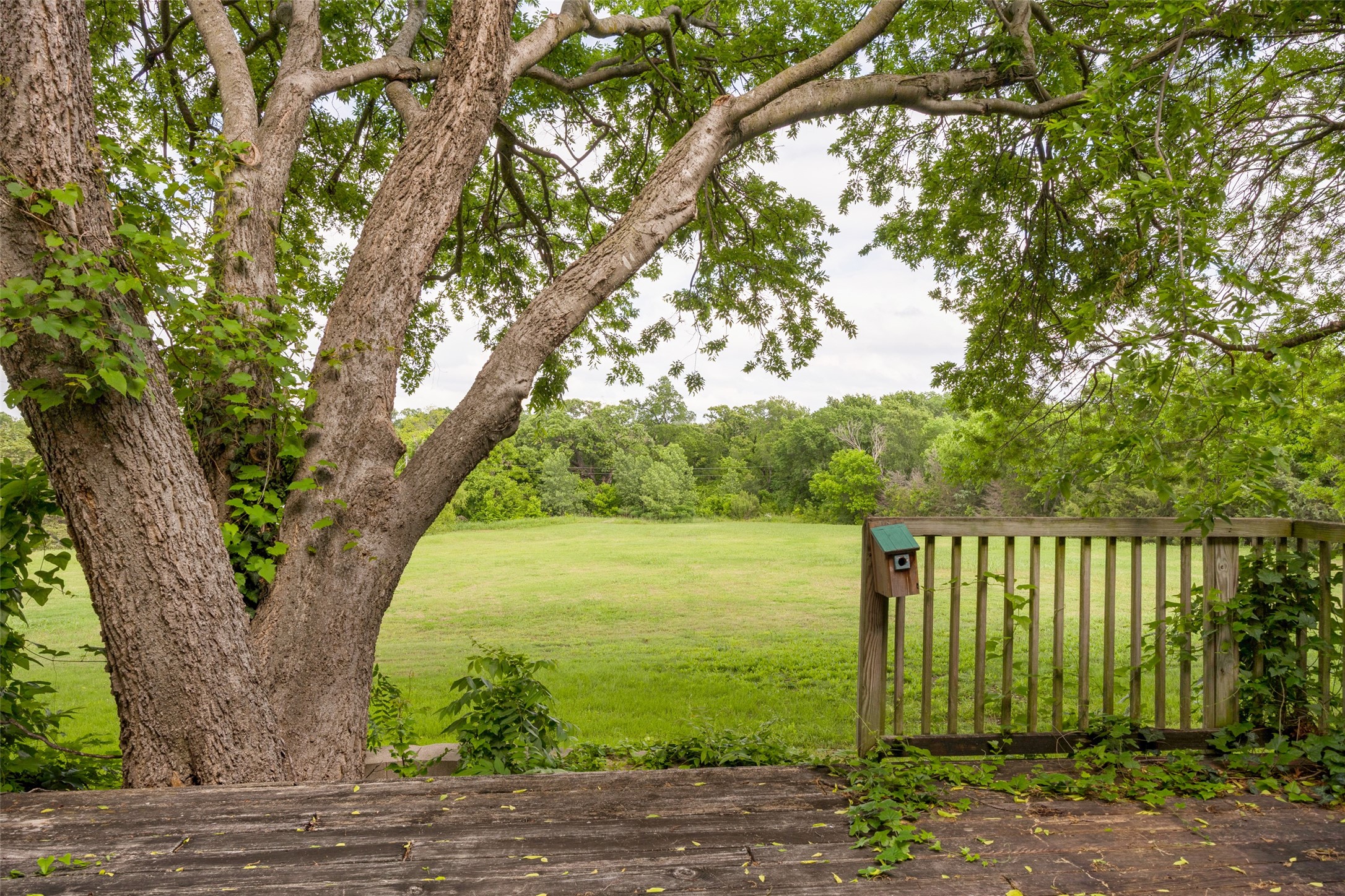 2121 E Pecan Lane Plano TX 75074