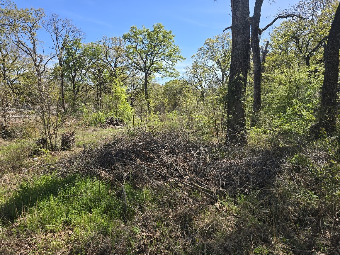 Lot 742 Oak Haven Drive Gun Barrel City TX 75156