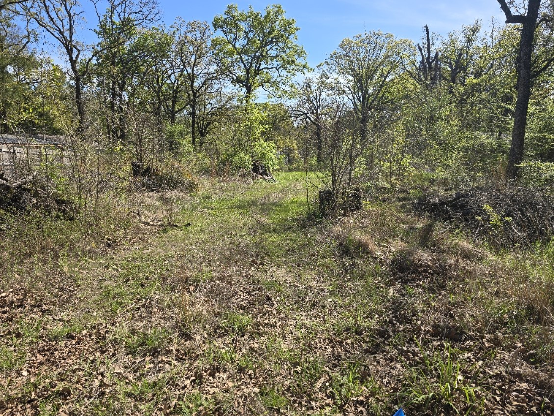 Lot 742 Oak Haven Drive Gun Barrel City TX 75156