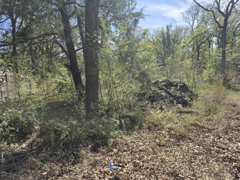 Lot 742 Oak Haven Drive Gun Barrel City TX 75156