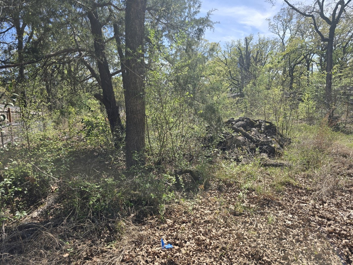 Lot 742 Oak Haven Drive Gun Barrel City TX 75156