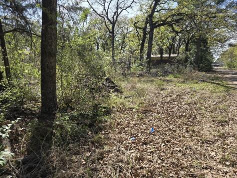 Lot 742 Oak Haven Drive Gun Barrel City TX 75156