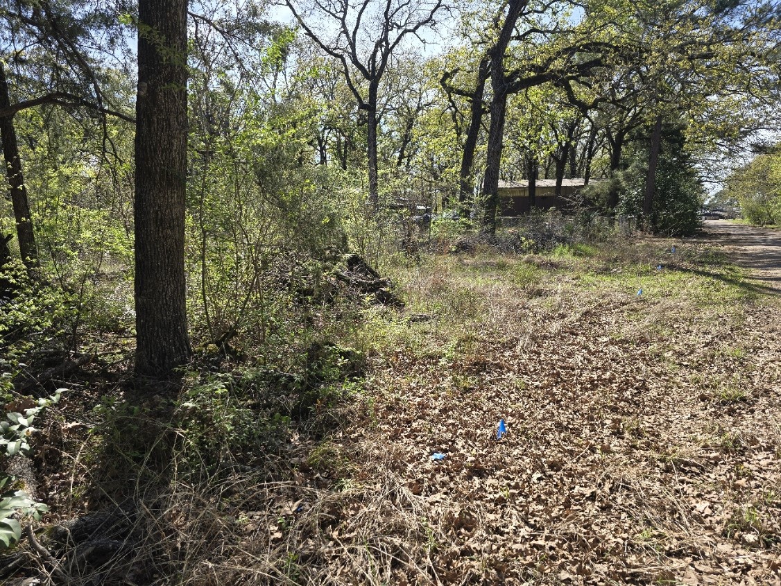 Lot 742 Oak Haven Drive Gun Barrel City TX 75156