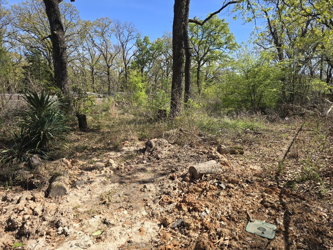 Lot 742 Oak Haven Drive Gun Barrel City TX 75156