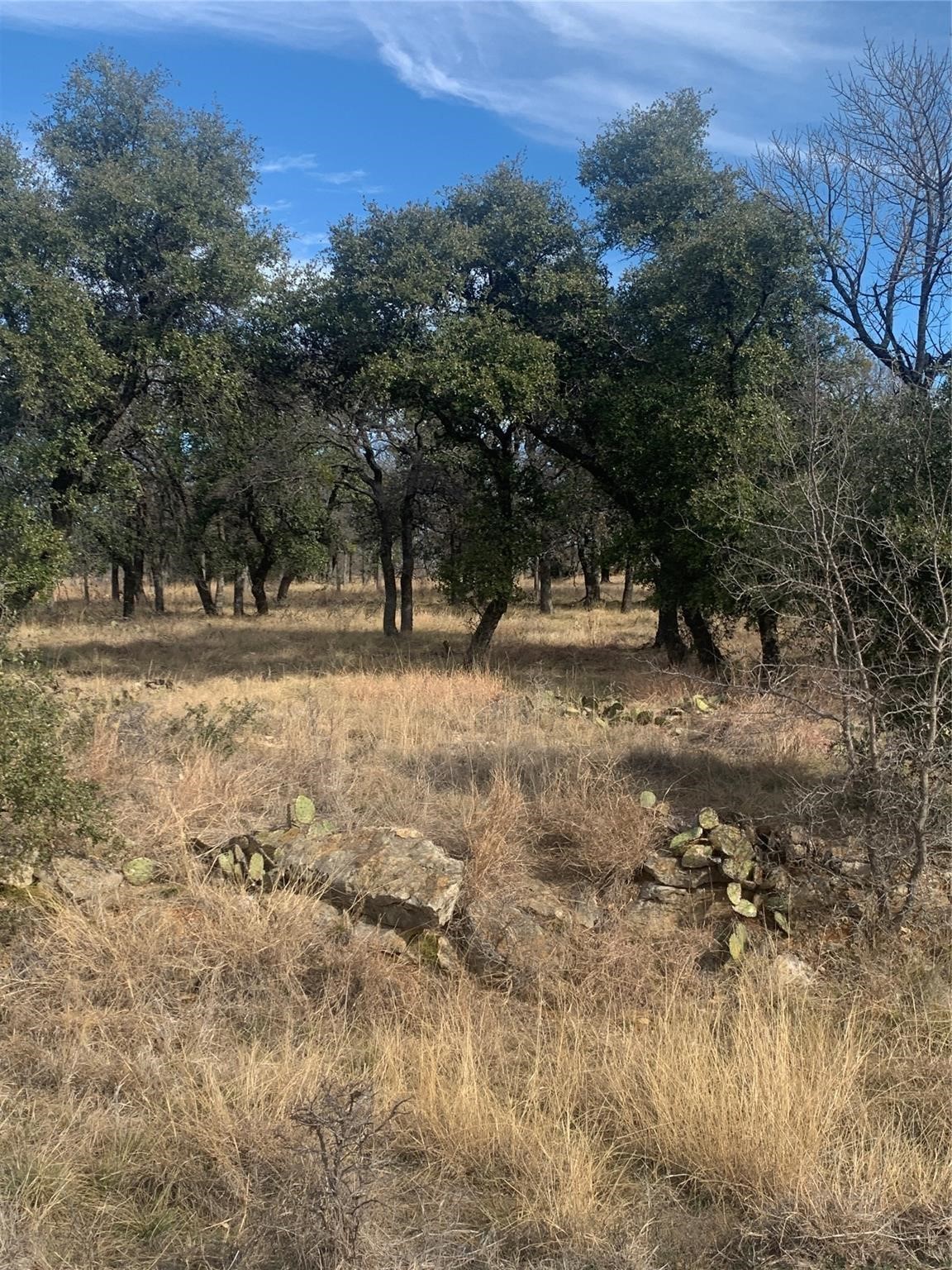 277 Vista Pointe Drive Chico TX 76431