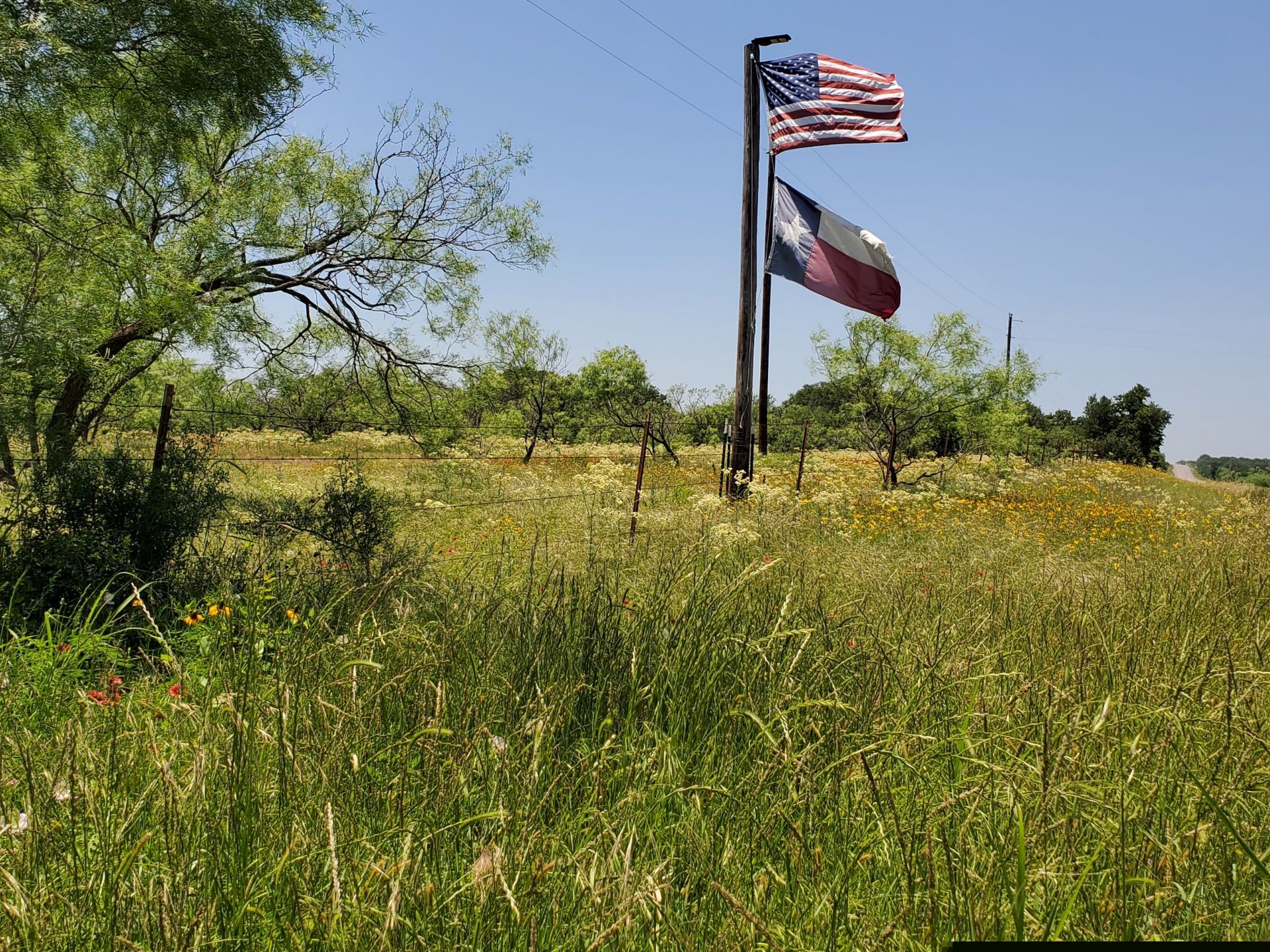 19069 Highway 6 Gorman TX 76454