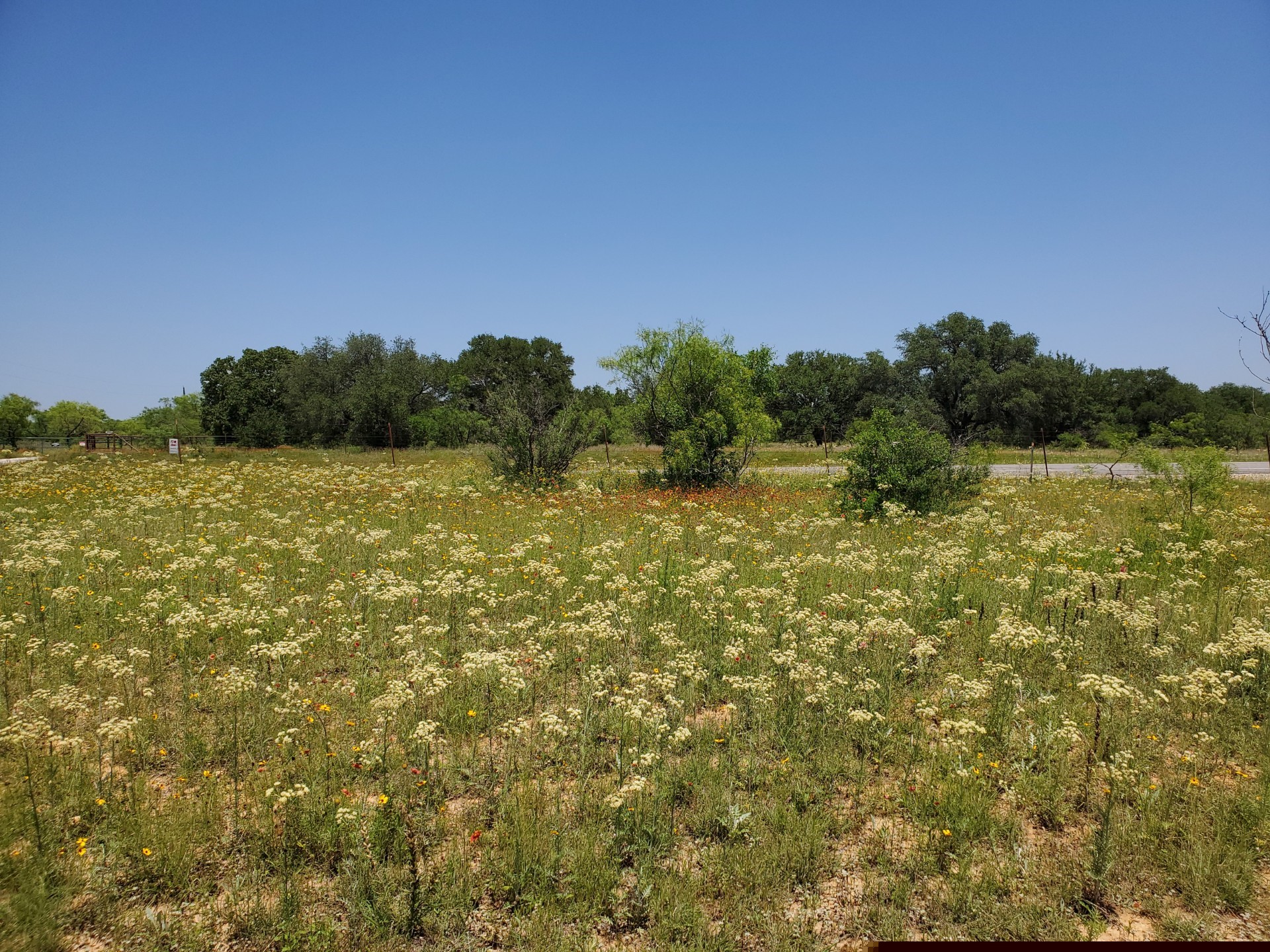 19069 Highway 6 Gorman TX 76454