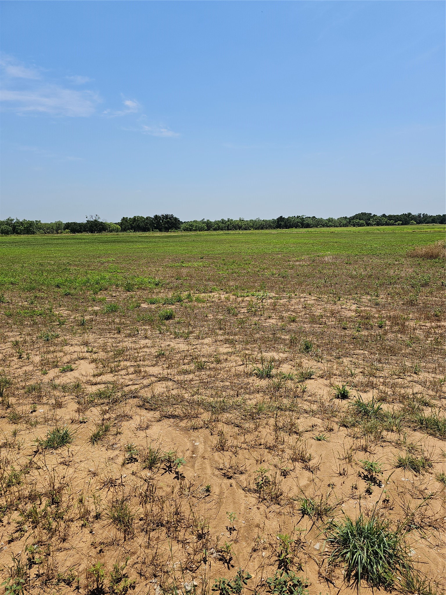 19069 Highway 6 Gorman TX 76454