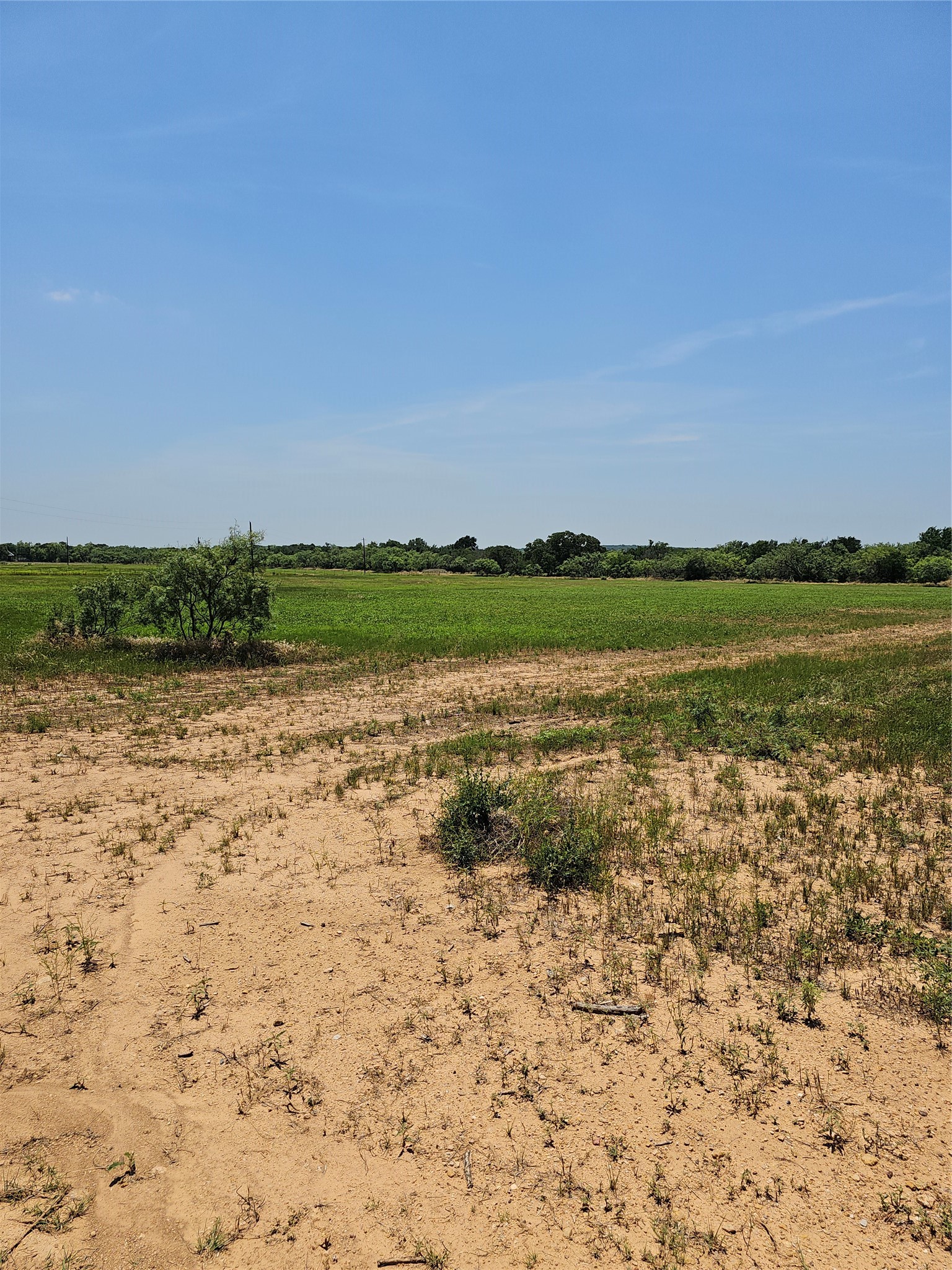 19069 Highway 6 Gorman TX 76454