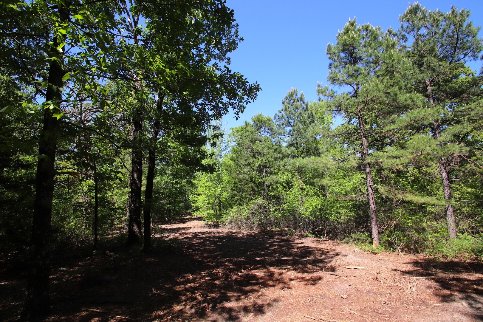 Tbd Cr 4552 Winnsboro TX 75494