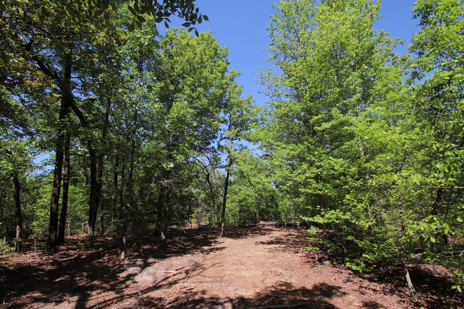 Tbd Cr 4552 Winnsboro TX 75494