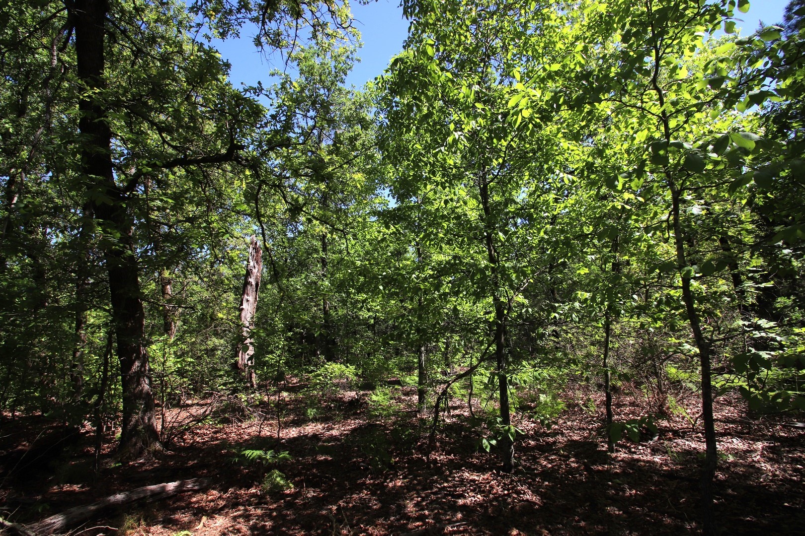 Tbd Cr 4552 Winnsboro TX 75494