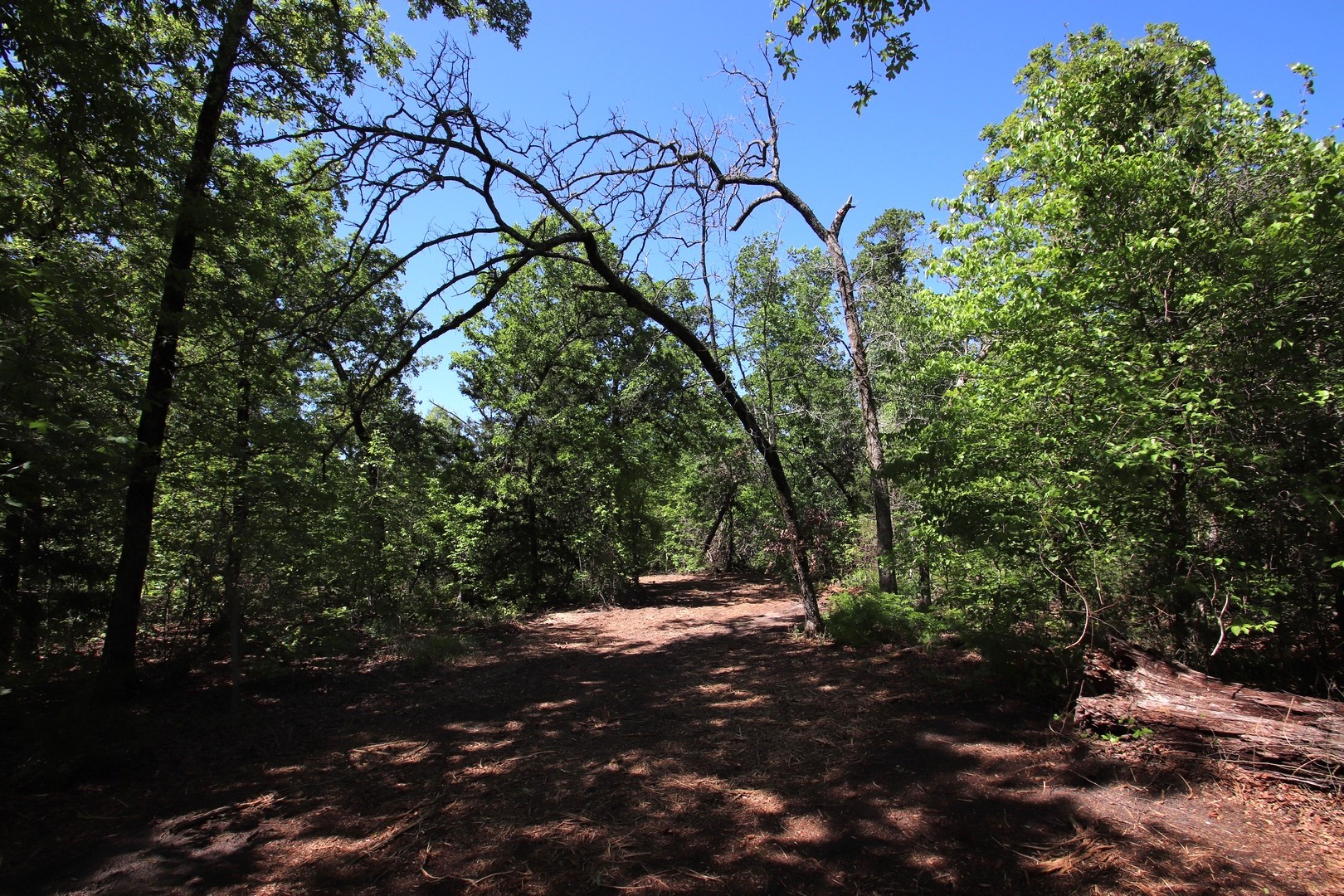 Tbd Cr 4552 Winnsboro TX 75494