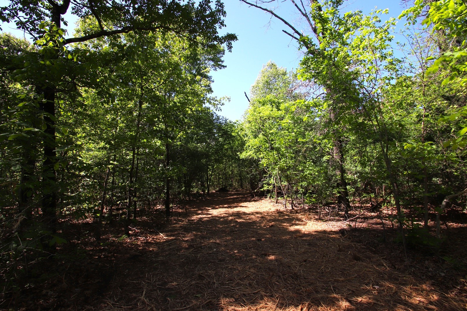 Tbd Cr 4552 Winnsboro TX 75494