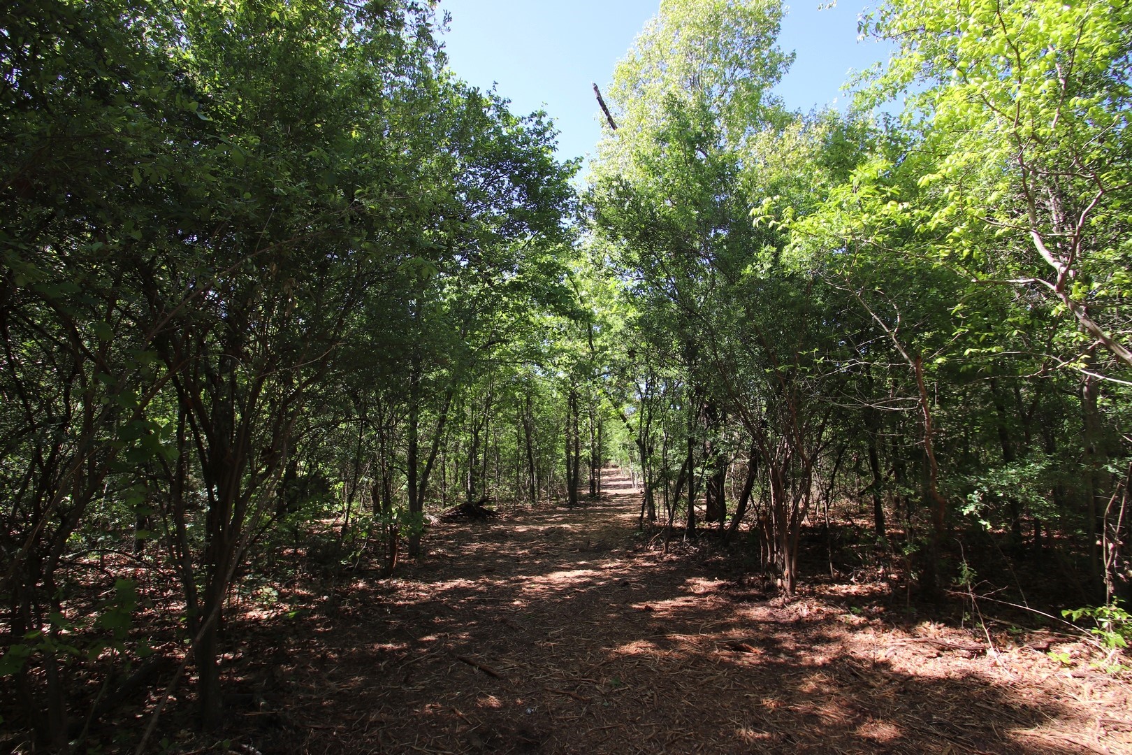 Tbd Cr 4552 Winnsboro TX 75494