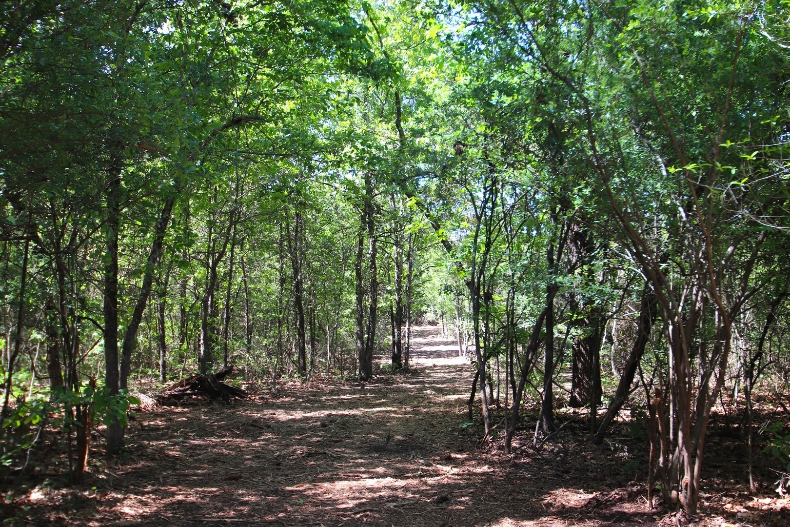Tbd Cr 4552 Winnsboro TX 75494