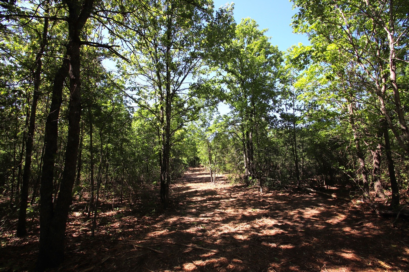 Tbd Cr 4552 Winnsboro TX 75494