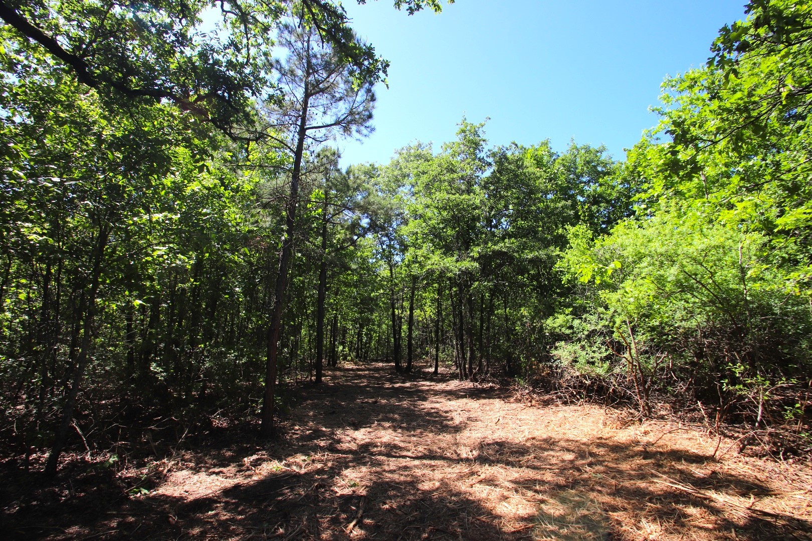 Tbd Cr 4552 Winnsboro TX 75494