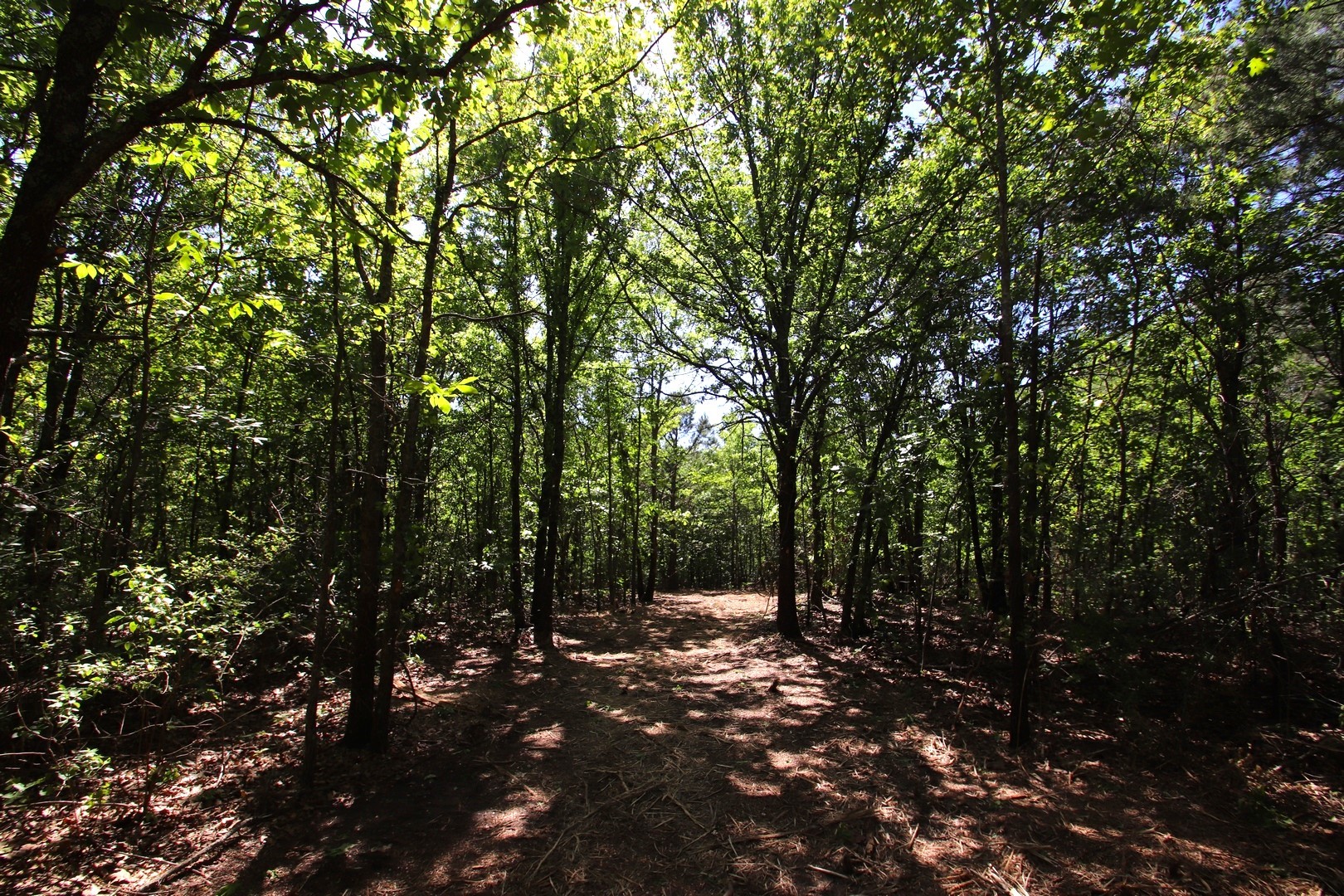 Tbd Cr 4552 Winnsboro TX 75494