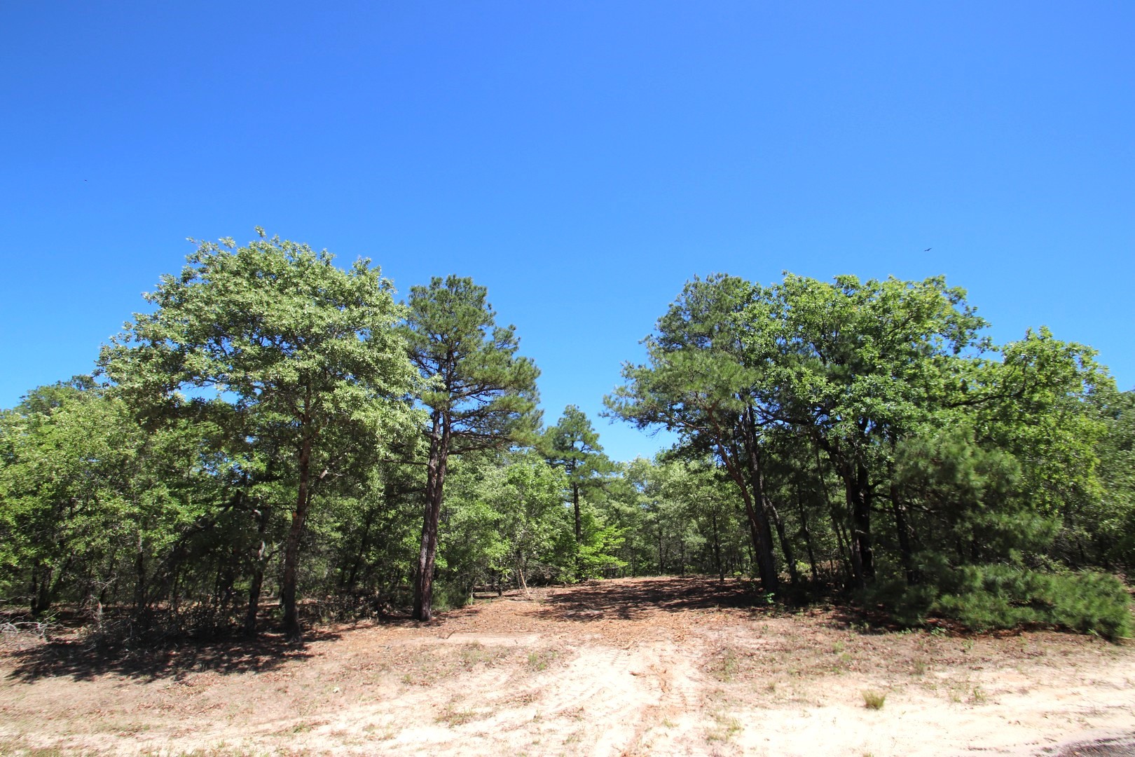 Tbd Cr 4552 Winnsboro TX 75494