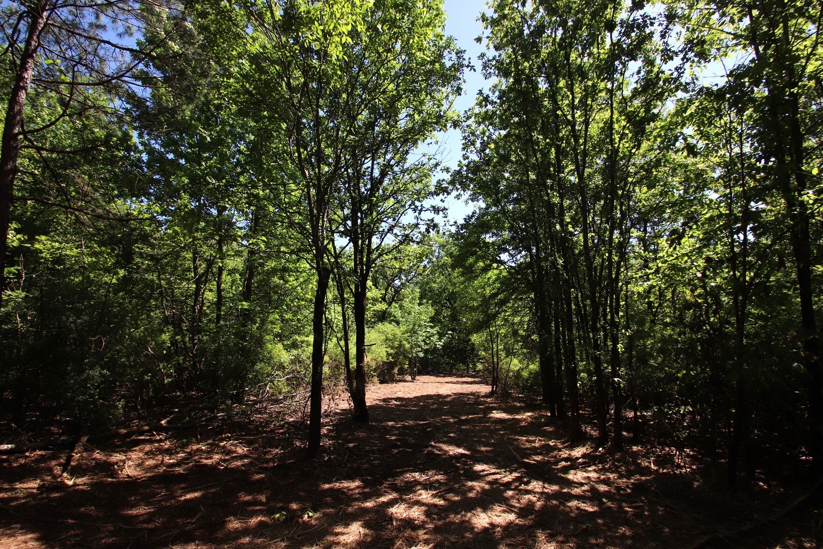 Tbd Cr 4552 Winnsboro TX 75494