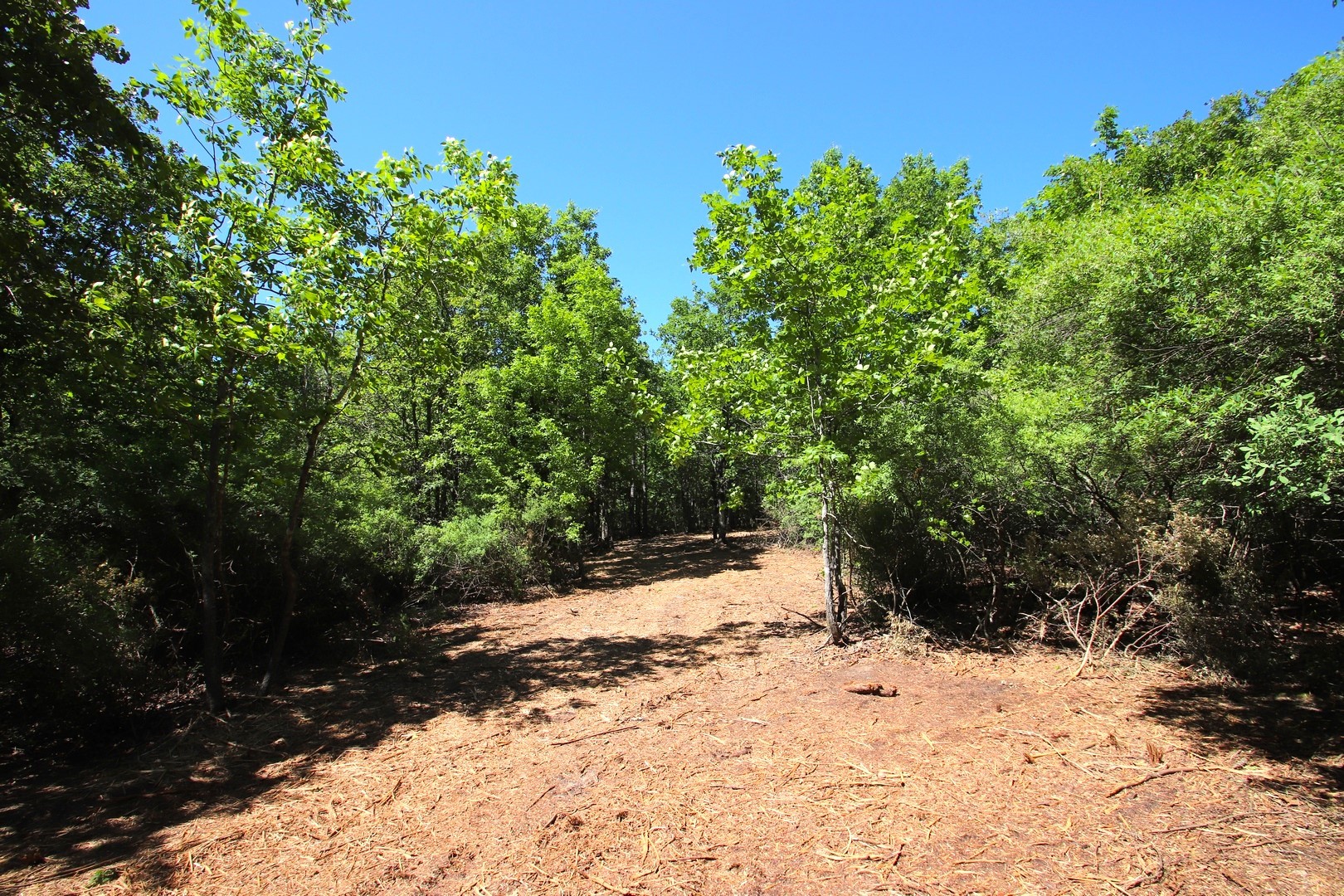 Tbd Cr 4552 Winnsboro TX 75494