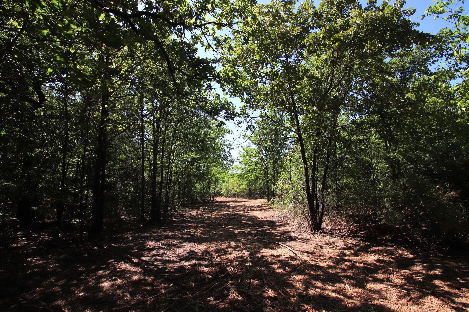 Tbd Cr 4552 Winnsboro TX 75494