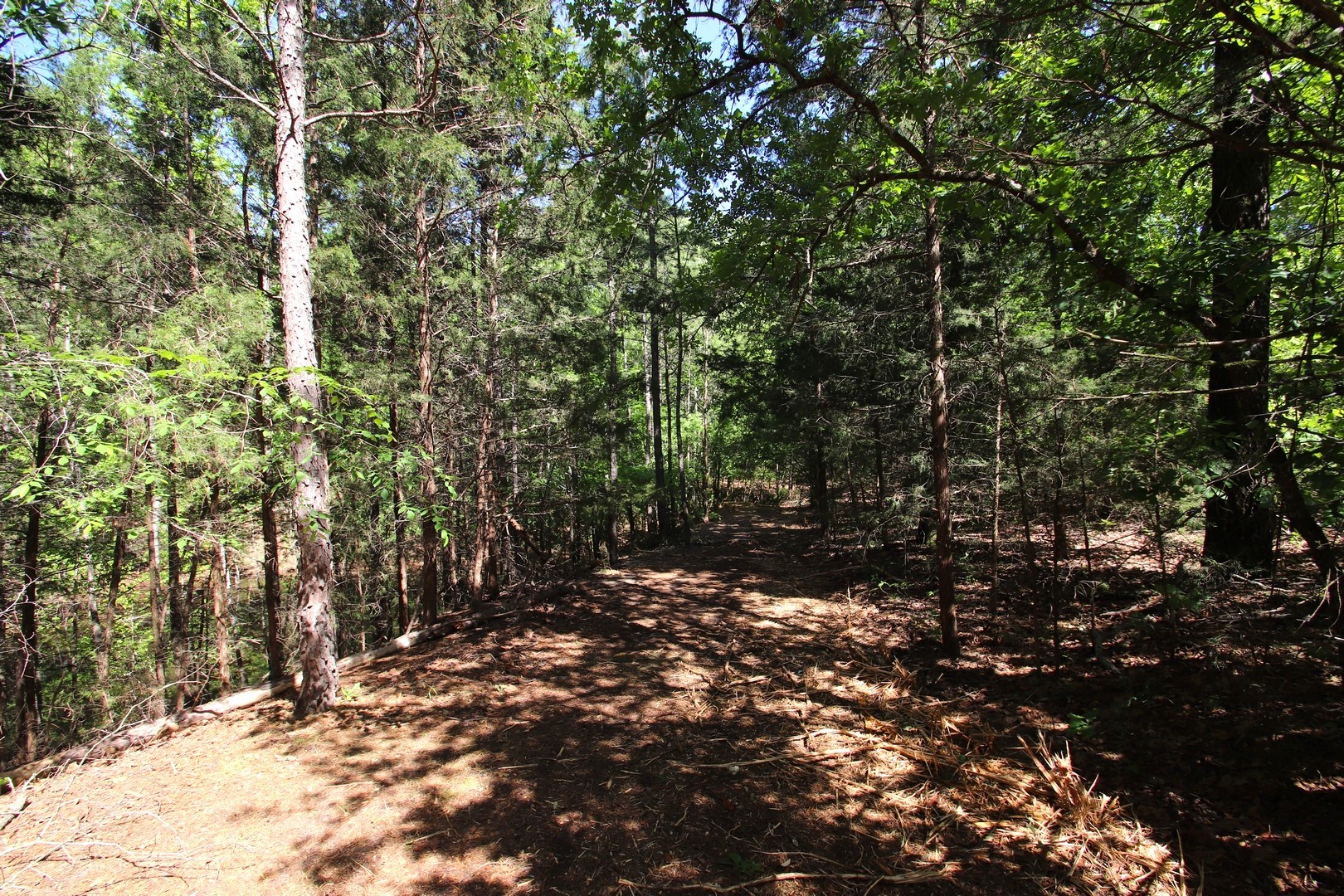 Tbd Cr 4552 Winnsboro TX 75494