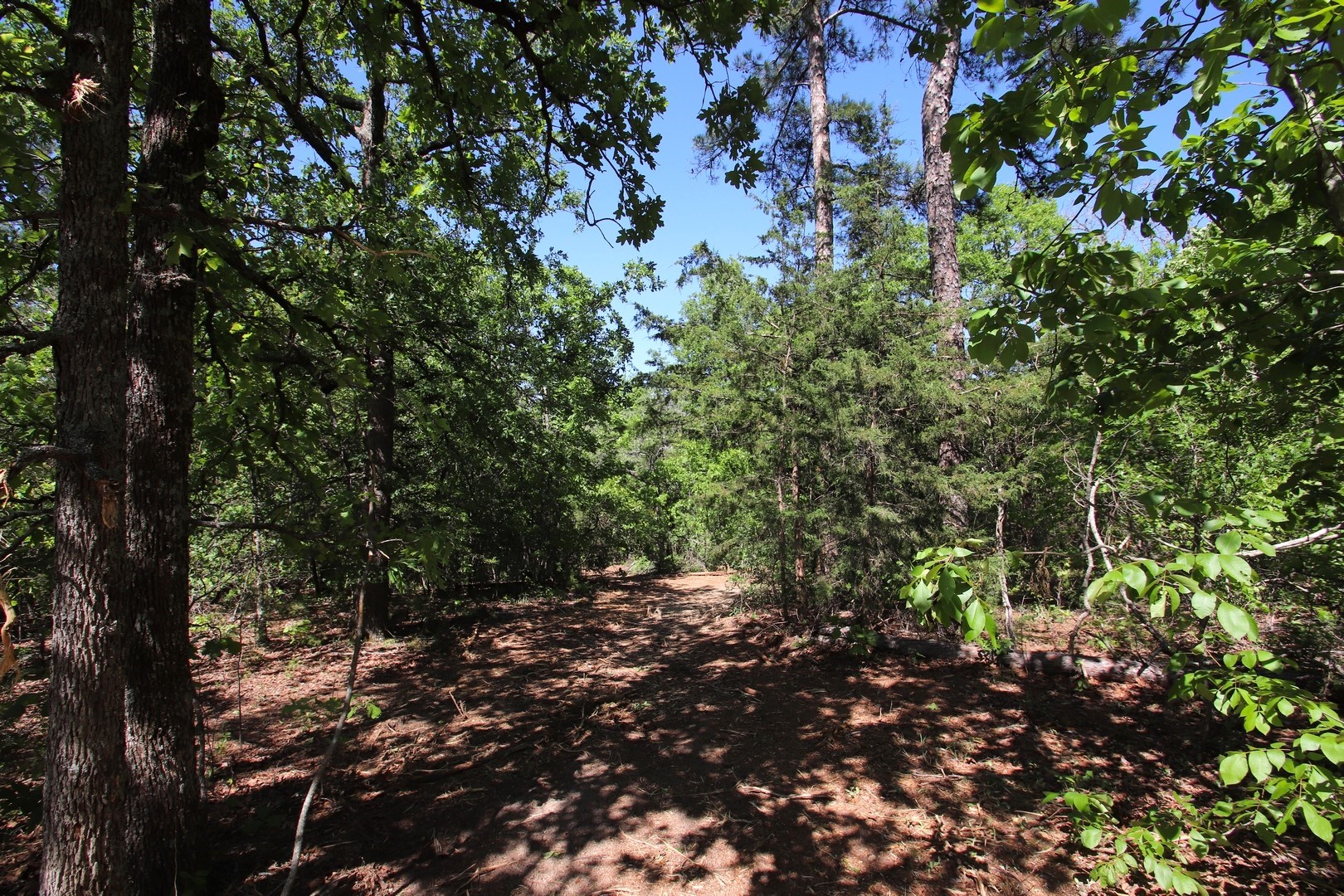 Tbd Cr 4552 Winnsboro TX 75494