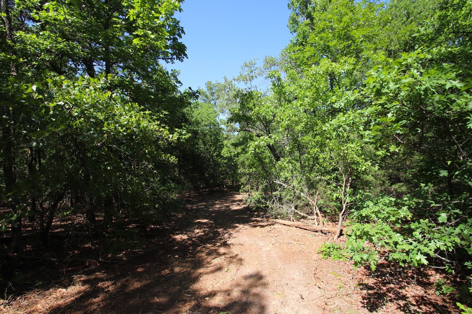 Tbd Cr 4552 Winnsboro TX 75494