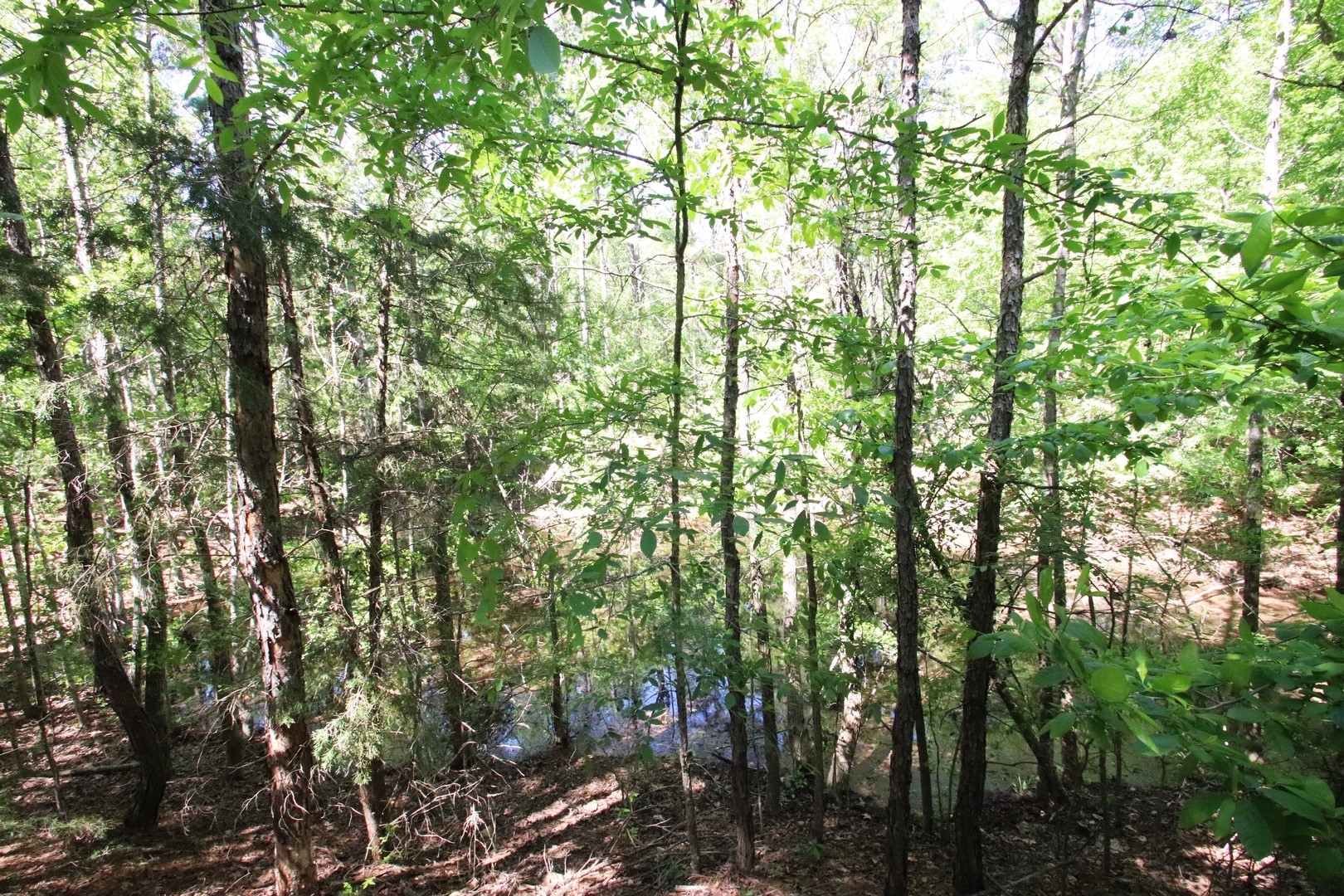 Tbd Cr 4552 Winnsboro TX 75494