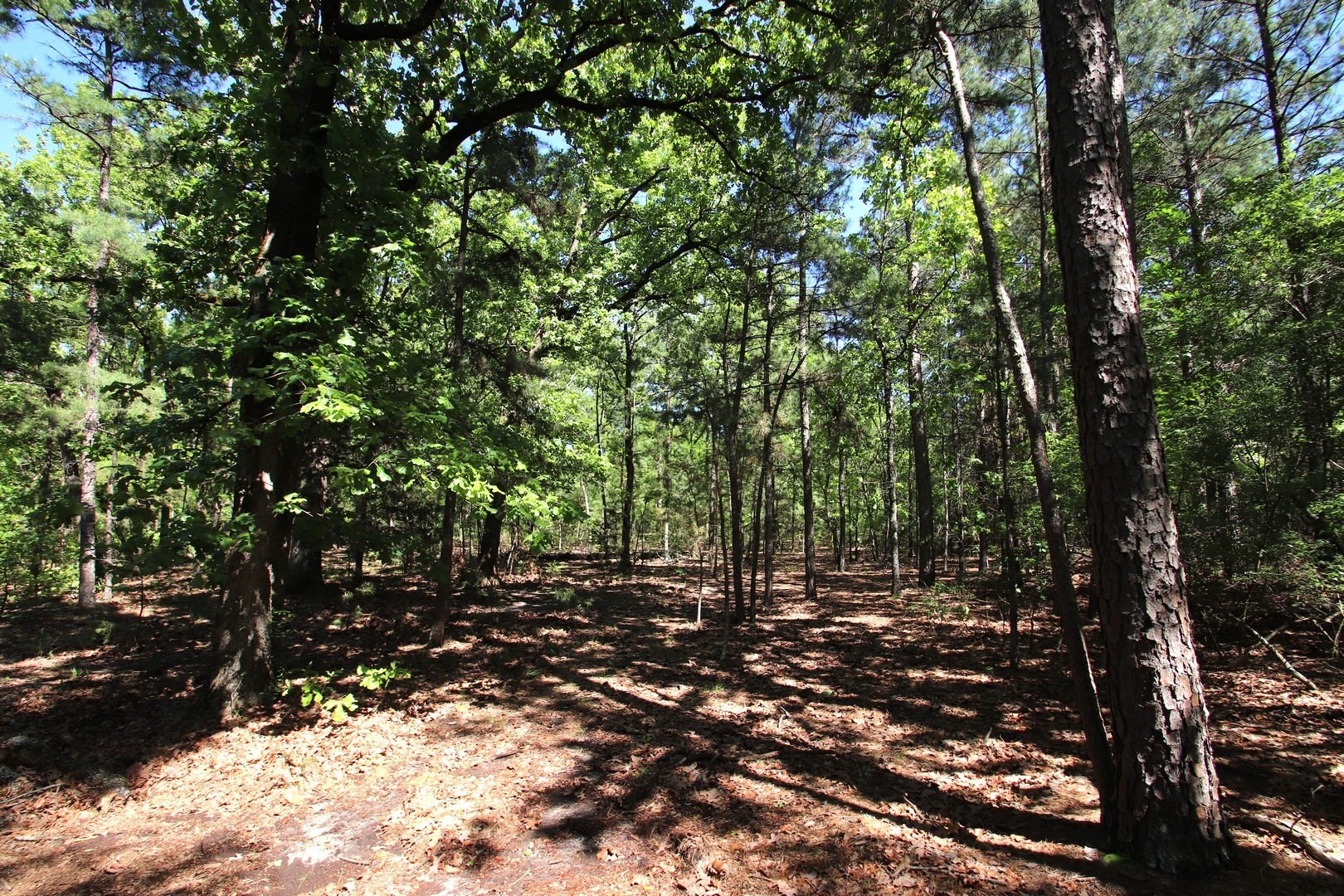 Tbd Cr 4552 Winnsboro TX 75494