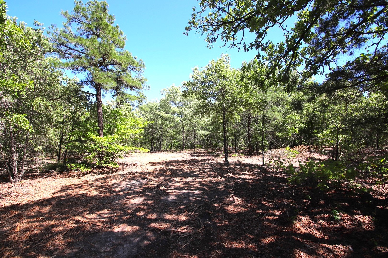 Tbd Cr 4552 Winnsboro TX 75494
