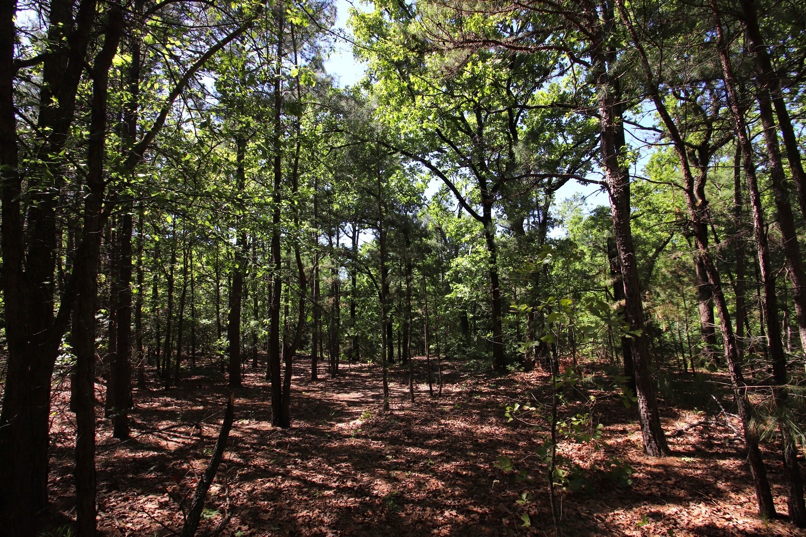 Tbd Cr 4552 Winnsboro TX 75494