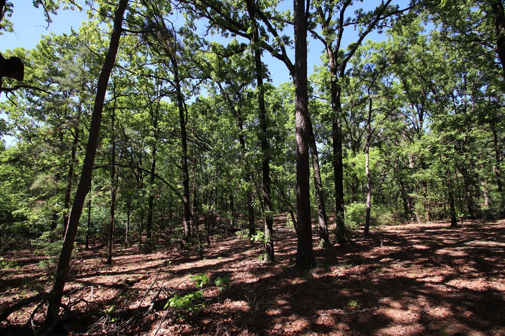 Tbd Cr 4552 Winnsboro TX 75494