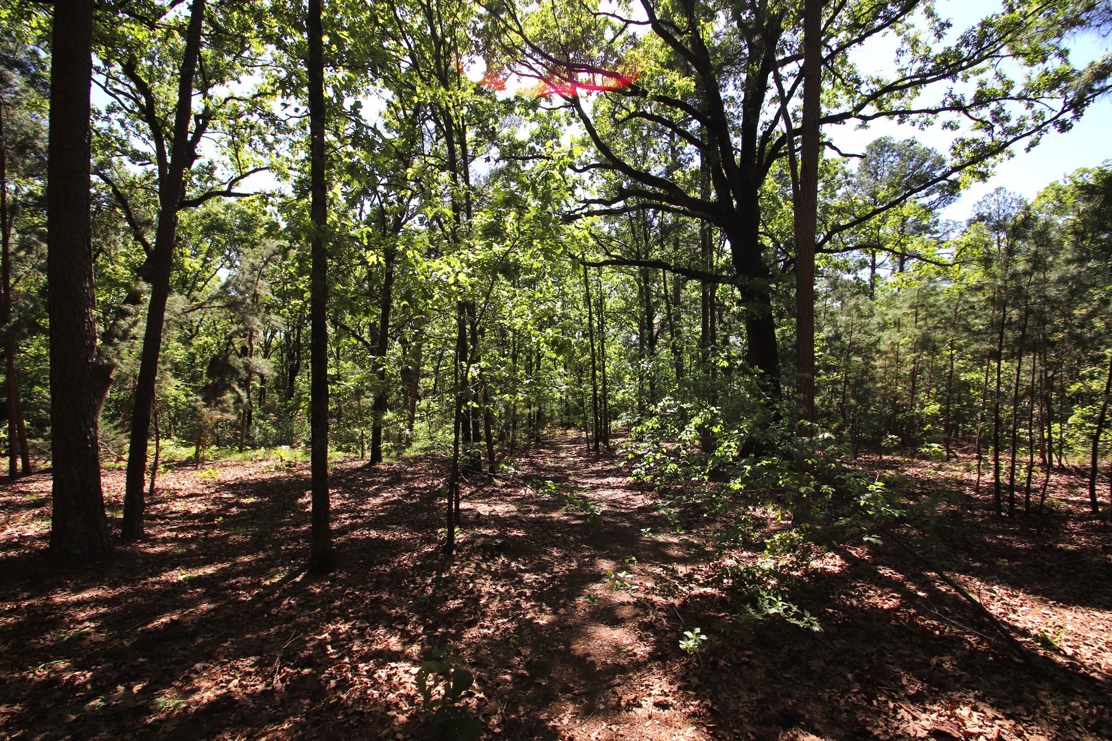 Tbd Cr 4552 Winnsboro TX 75494
