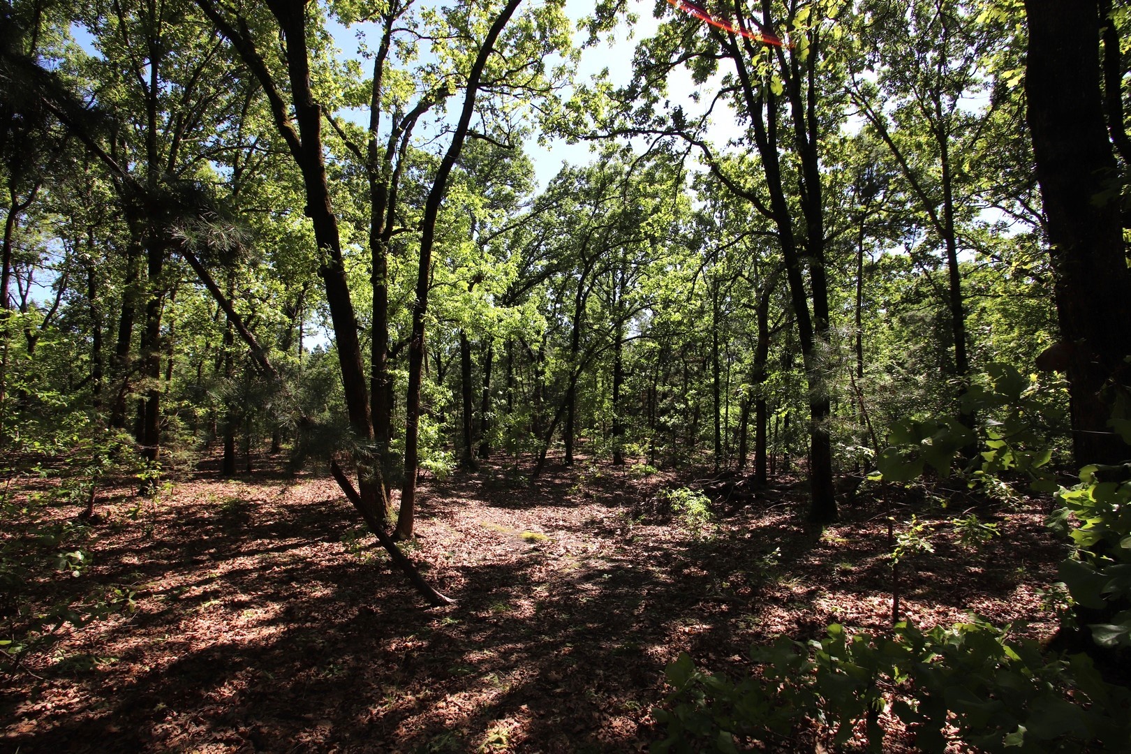 Tbd Cr 4552 Winnsboro TX 75494