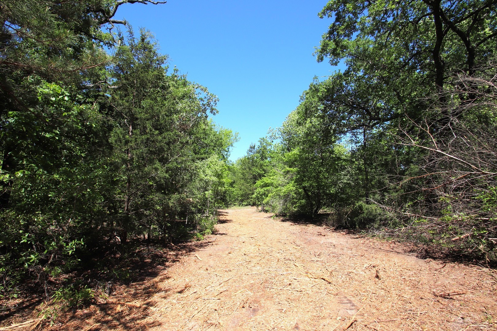 Tbd Cr 4552 Winnsboro TX 75494