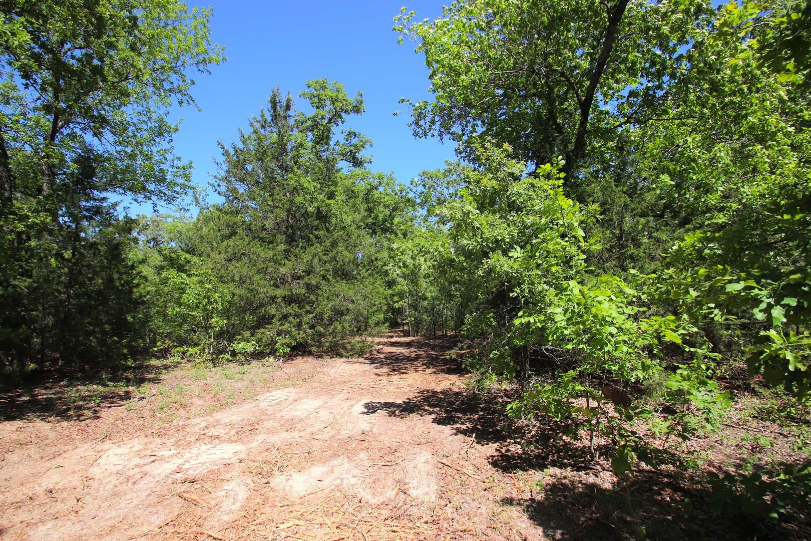 Tbd Cr 4552 Winnsboro TX 75494