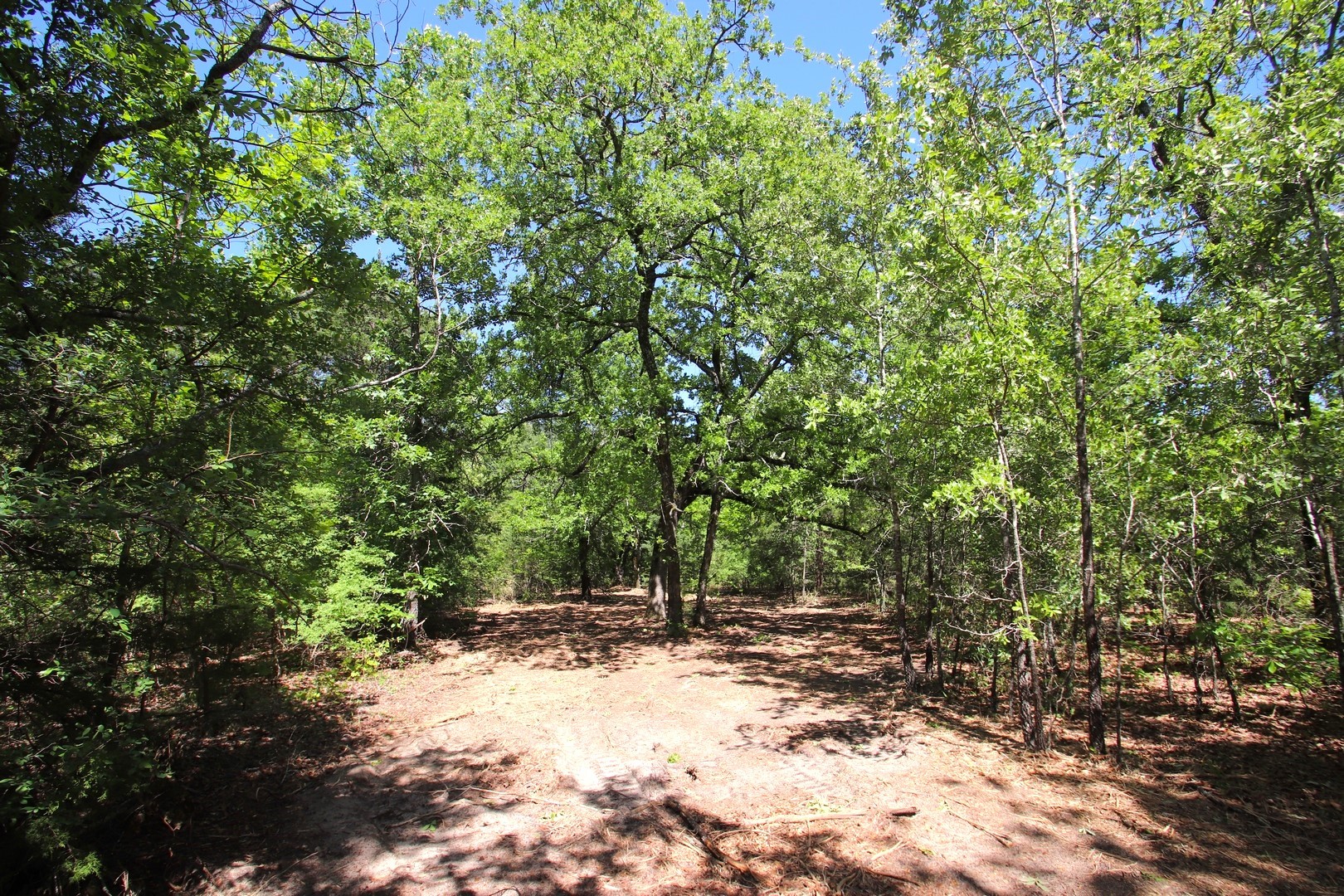 Tbd Cr 4552 Winnsboro TX 75494