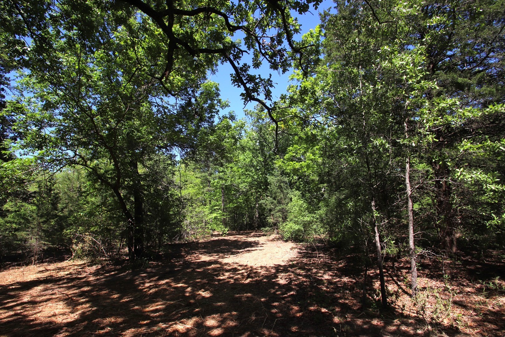 Tbd Cr 4552 Winnsboro TX 75494