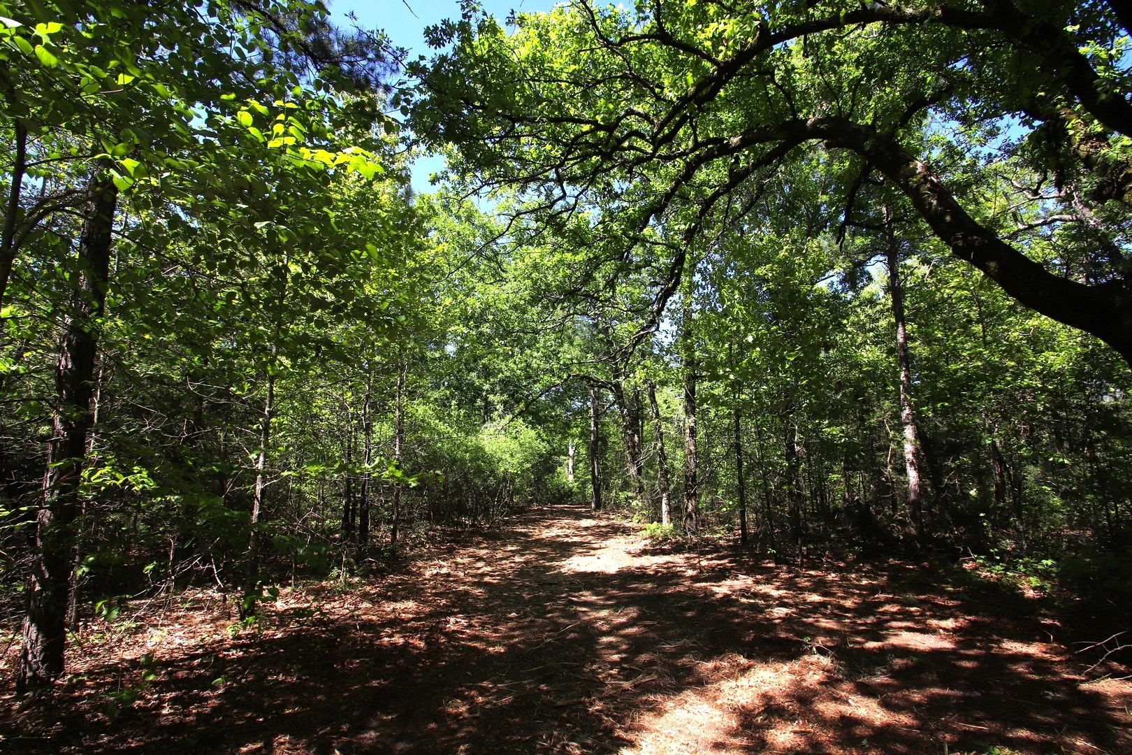 Tbd Cr 4552 Winnsboro TX 75494